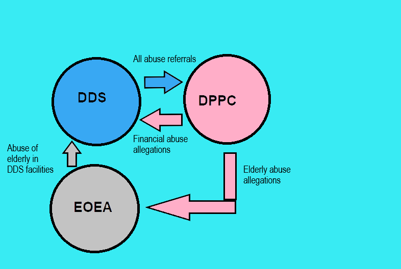 Abuse referrak flow chart3